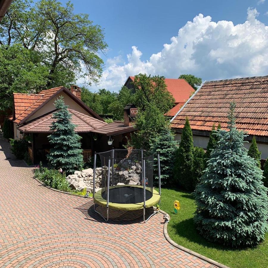 Pensiunea Haiduc Sacele Brasov Εξωτερικό φωτογραφία