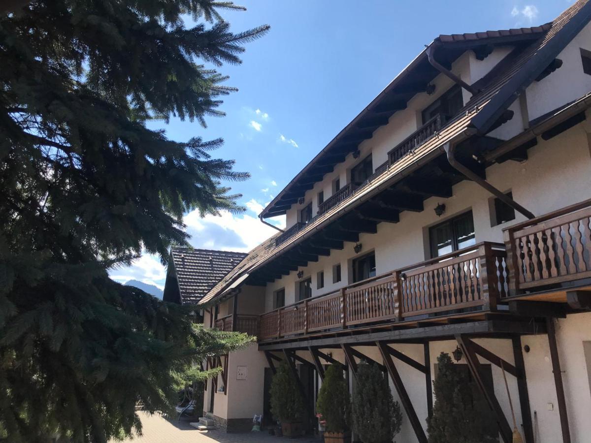 Pensiunea Haiduc Sacele Brasov Εξωτερικό φωτογραφία