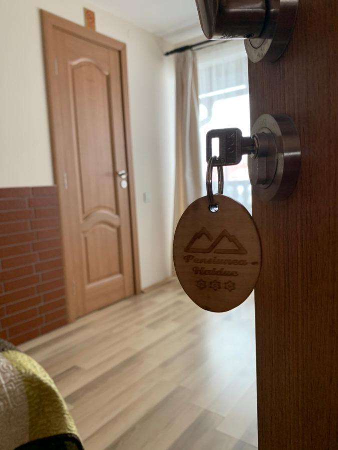 Pensiunea Haiduc Sacele Brasov Εξωτερικό φωτογραφία